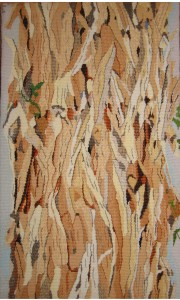 "Nature Designed:  Acacia Bark"