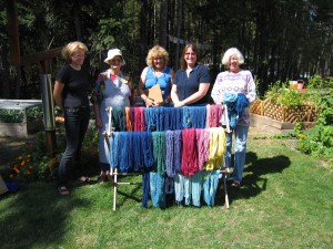 The students and their results of dyeing