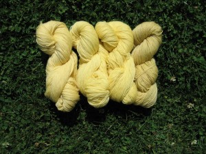 Weld dyed wool