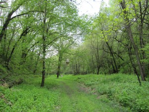 The grounds of Pahuk