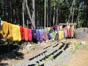 dyed yarns on the line