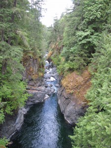 Englishman River Falls Park